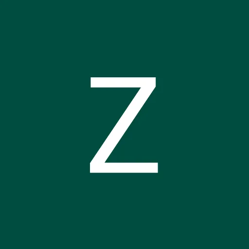 Profil CV Zidd Zidny