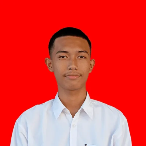 Profil CV Zulfikar